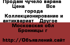 Продам чучело варана › Цена ­ 15 000 - Все города Коллекционирование и антиквариат » Другое   . Московская обл.,Бронницы г.